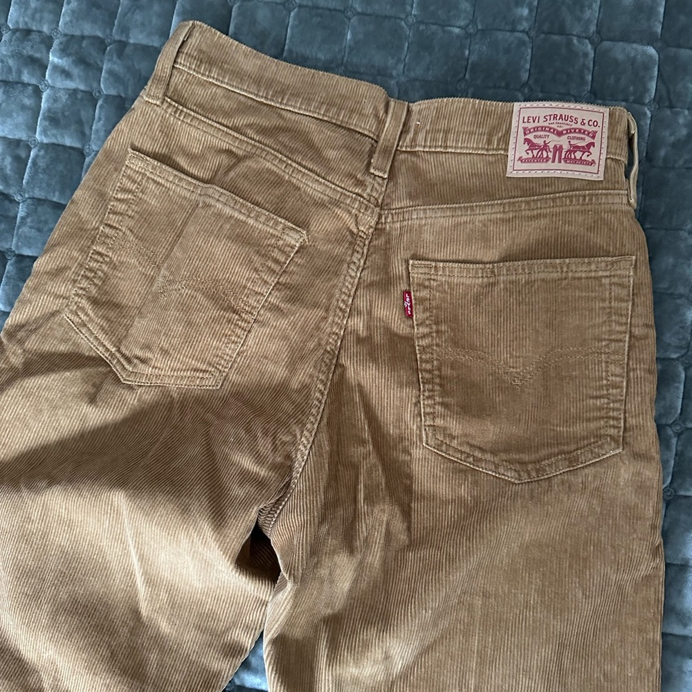 Levi 94 baggycorduroy jeans size 29 regular